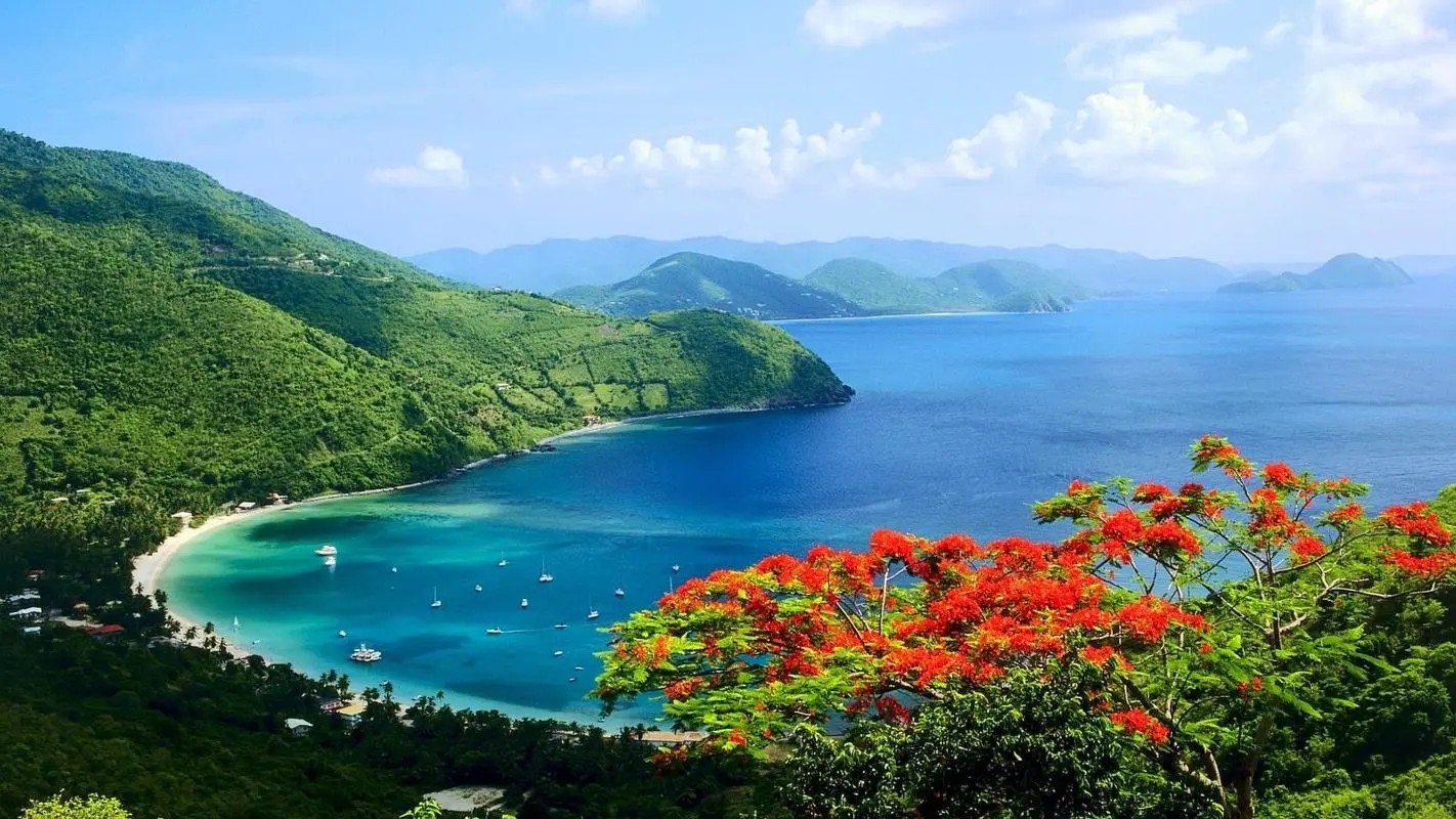稳定性高标准智能